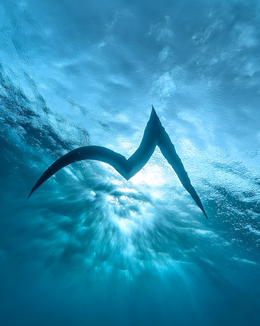 Maghreb Waves visual 2