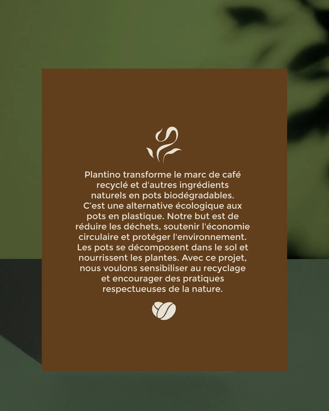 Plantino visual 2