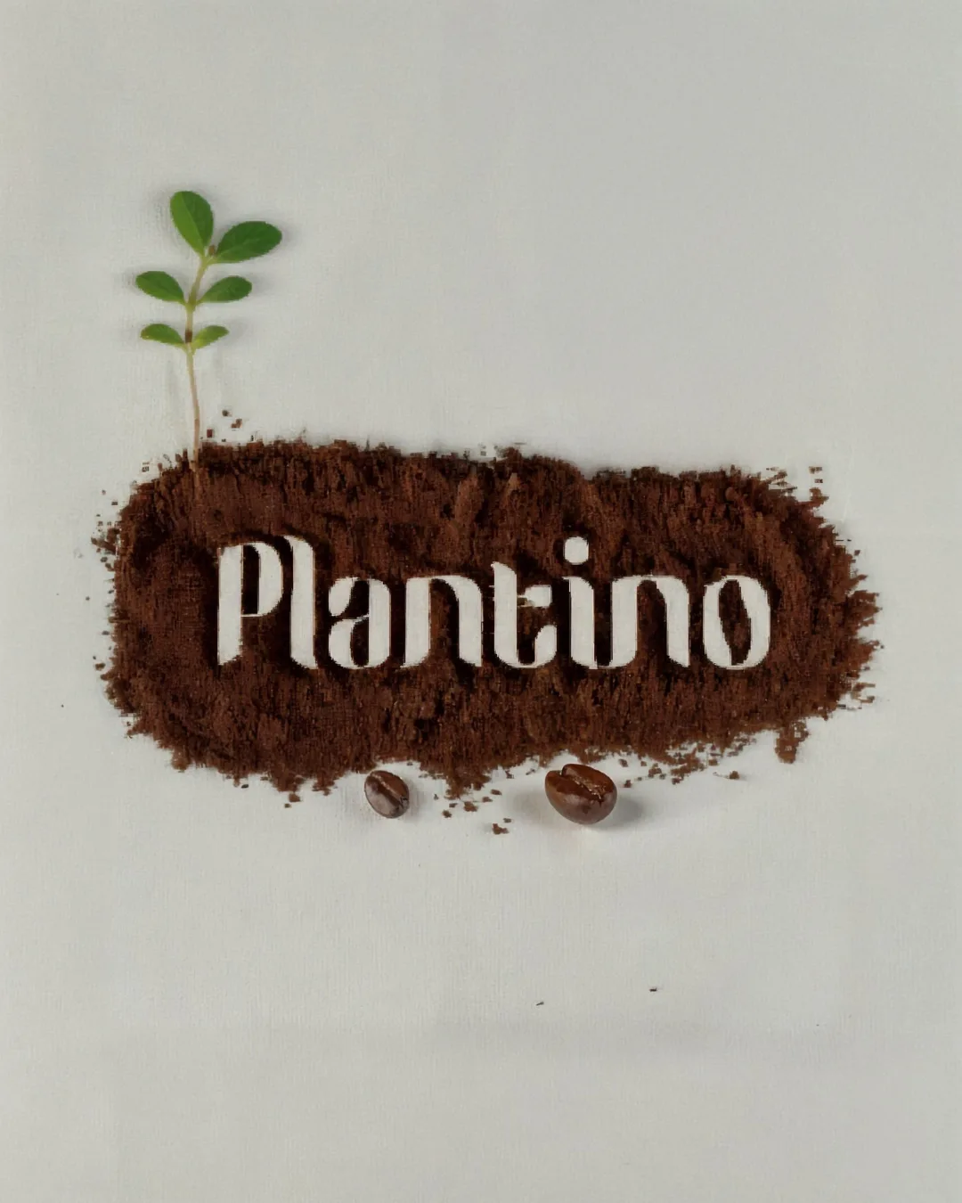 Plantino visual 5