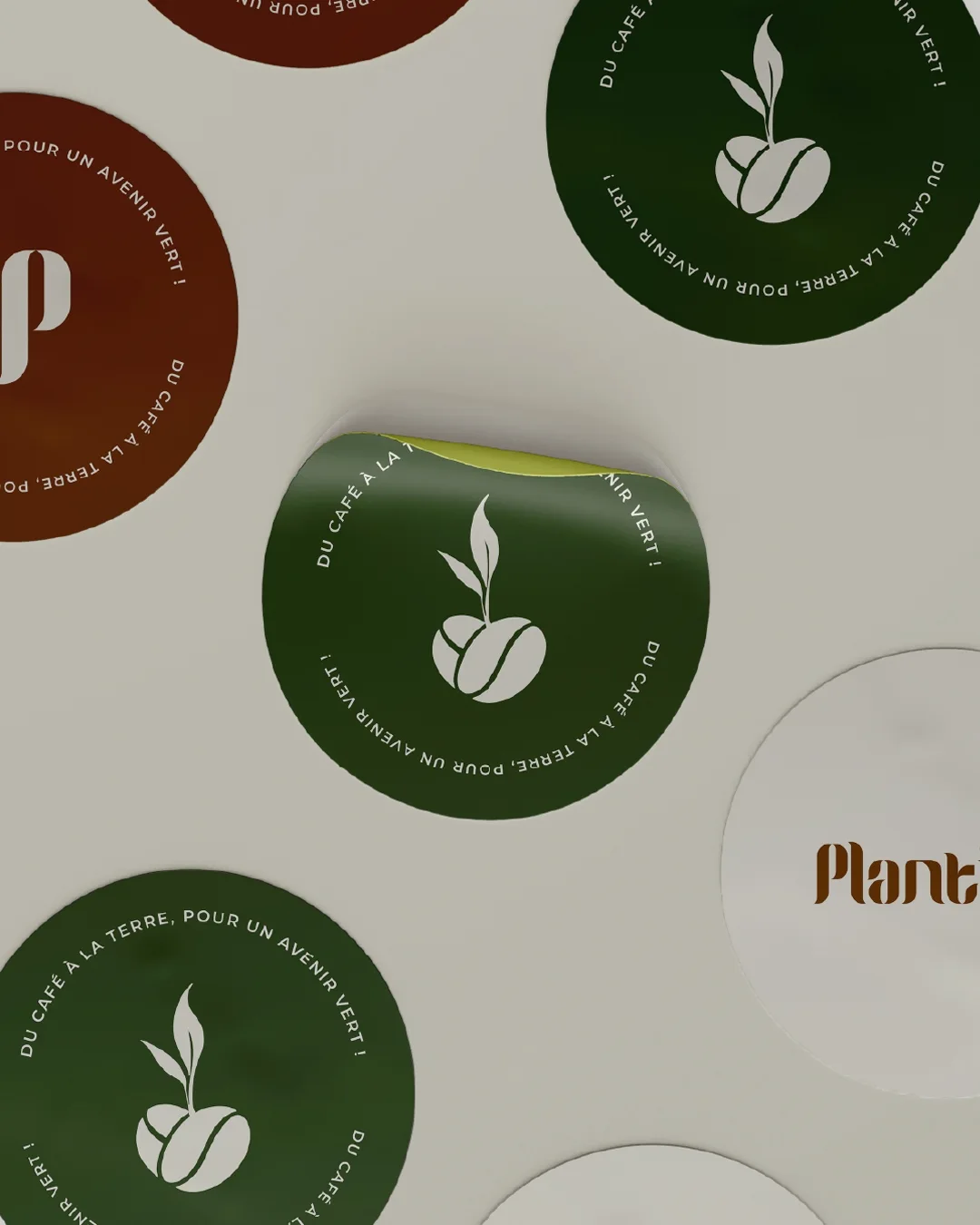 Plantino visual 6