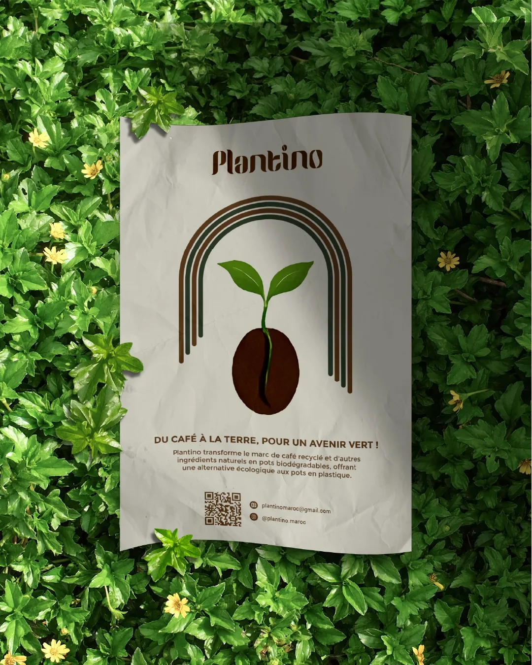 Plantino visual 9