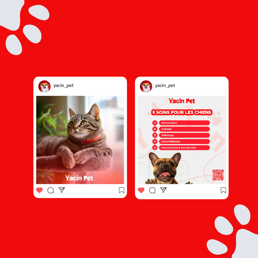 Yacin Pet visual 5